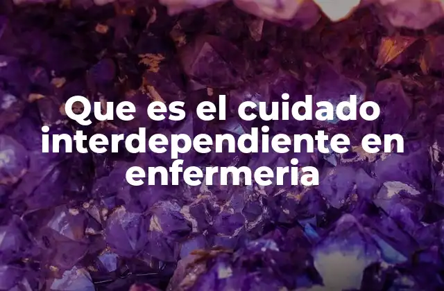 Que es el Cuidado Interdependiente en Enfermeria