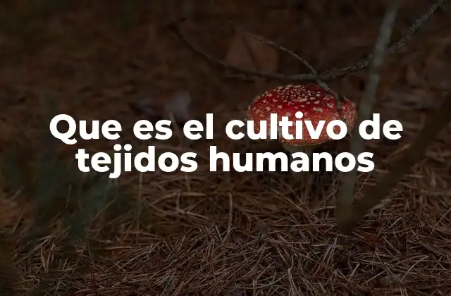 Que es el Cultivo de Tejidos Humanos