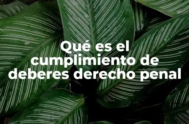Qué es el Cumplimiento de Deberes Derecho Penal