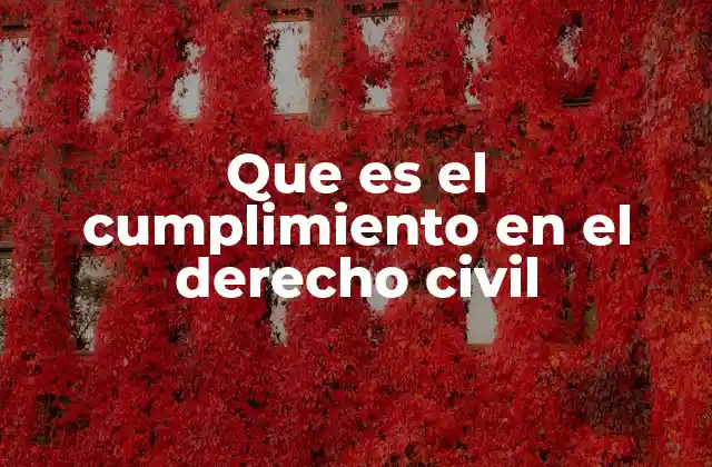 Que es el Cumplimiento en el Derecho Civil