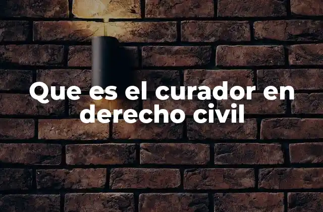 Que es el Curador en Derecho Civil