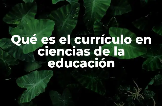 El papel del currículo en la formación educativa
