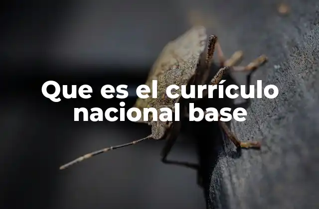 El papel del currículo nacional base en la educación pública