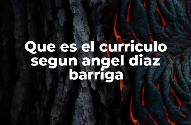 Que es el Curriculo Segun Angel Diaz Barriga 2 El currículo como herramienta de transformación social