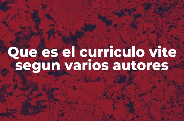 Que es el Curriculo Vite Segun Varios Autores