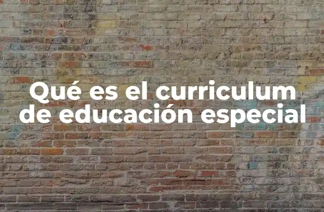 Qué es el Curriculum de Educación Especial