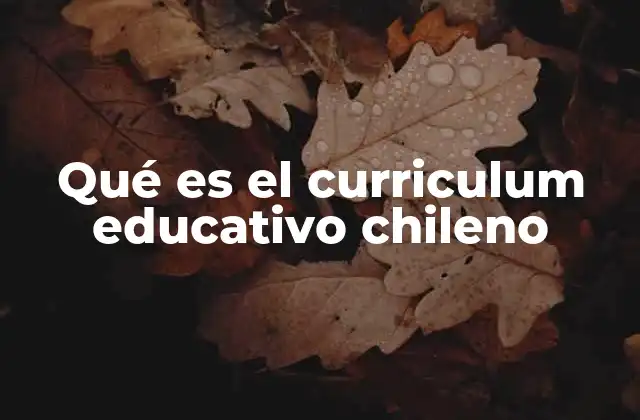 Qué es el Curriculum Educativo Chileno
