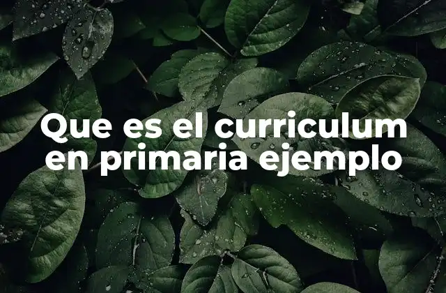Que es el Curriculum en Primaria Ejemplo
