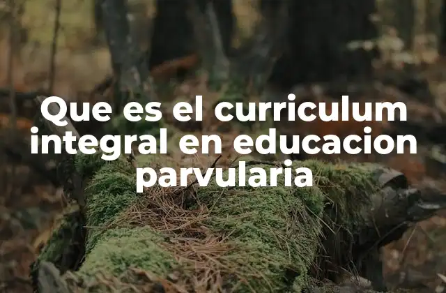 ¿Cómo se estructura un currículo integral en educación parvularia?