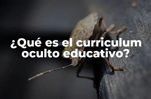 ¿qué es el Curriculum Oculto Educativo?