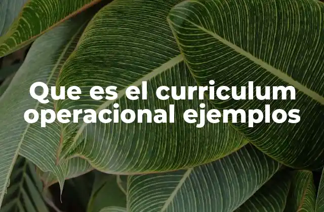 Que es el Curriculum Operacional Ejemplos