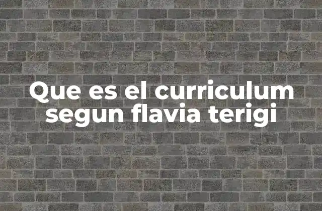 Que es el Curriculum Segun Flavia Terigi