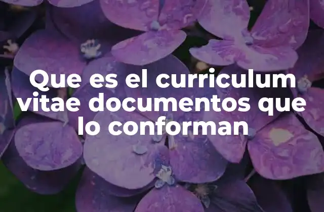 Que es el Curriculum Vitae Documentos que Lo Conforman