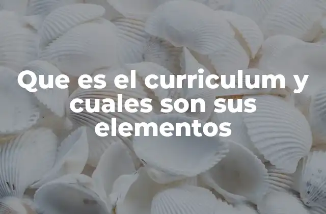 Que es el Curriculum y Cuales Son Sus Elementos 2 La importancia de un currículum bien estructurado
