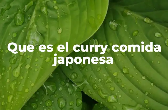 Que es el Curry Comida Japonesa