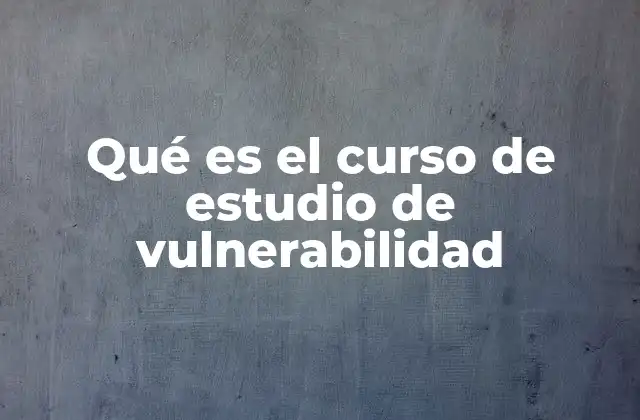 Qué es el Curso de Estudio de Vulnerabilidad