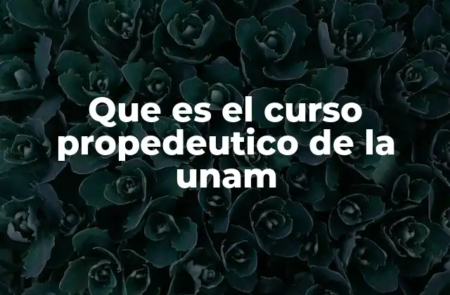 Que es el Curso Propedeutico de la Unam