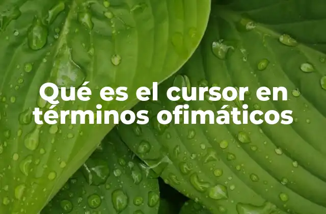 Qué es el Cursor en Términos Ofimáticos