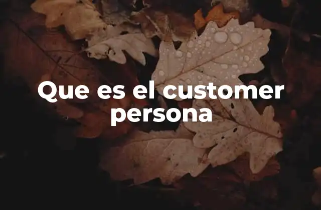 Que es el Customer Persona