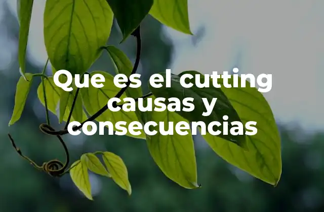 Que es el Cutting Causas y Consecuencias