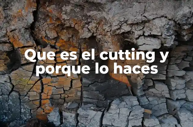 Que es el Cutting y Porque Lo Haces 2 La importancia de la nutrición en el proceso de cutting