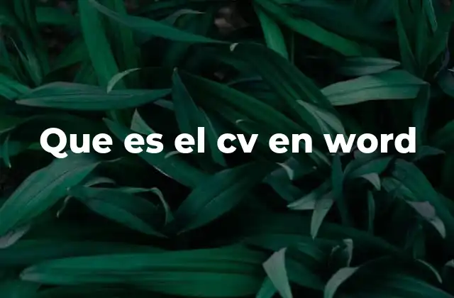 Que es el Cv en Word