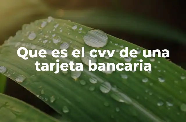 Que es el Cvv de una Tarjeta Bancaria