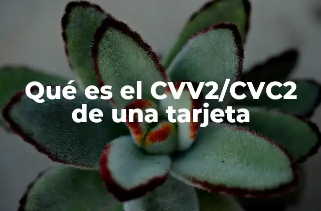 Qué es el Cvv2/cvc2 de una Tarjeta