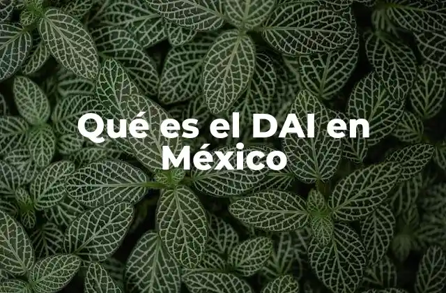Qué es el Dai en México
