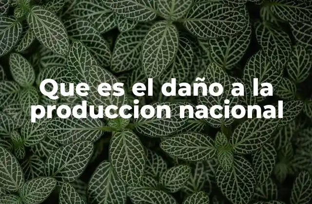 Que es el Daño a la Produccion Nacional