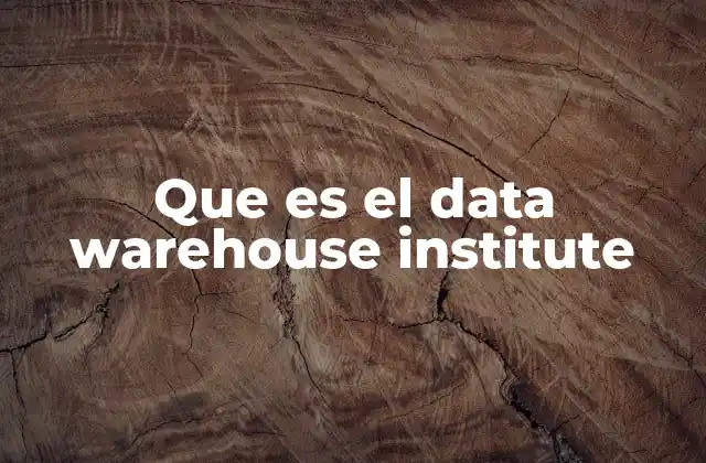 Que es el Data Warehouse Institute