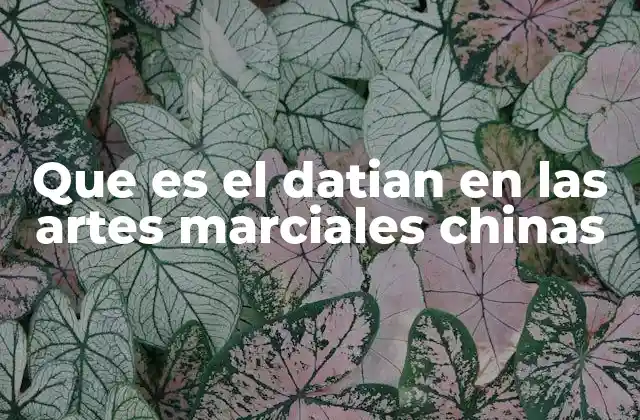 Que es el Datian en las Artes Marciales Chinas