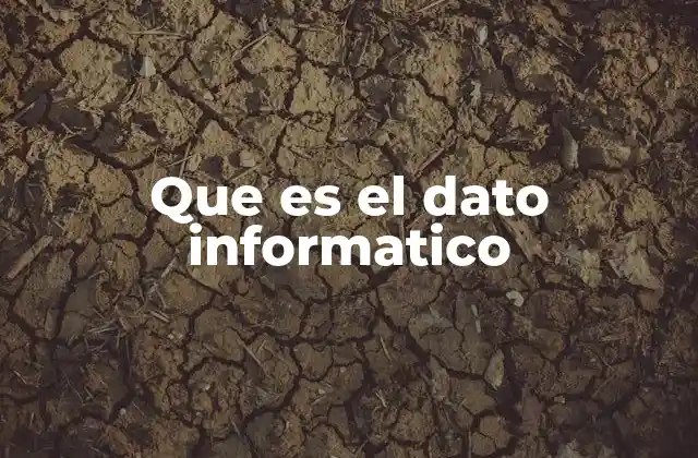 Que es el Dato Informatico