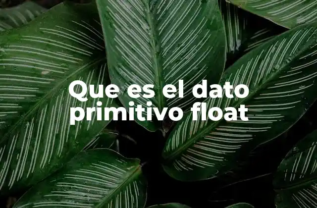 Que es el Dato Primitivo Float 2 Tipos de datos numéricos en programación