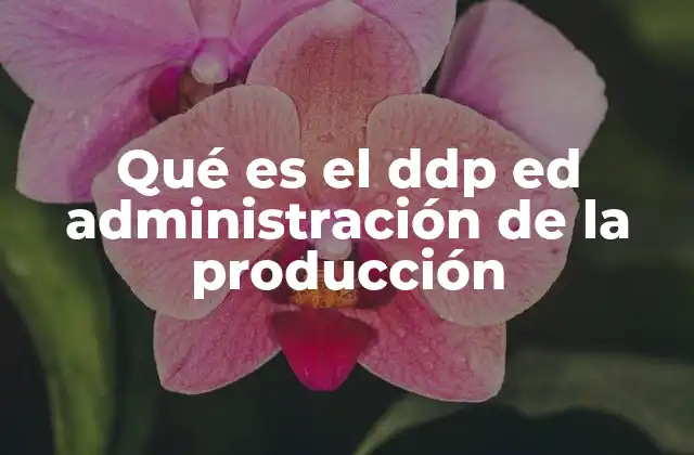 Qué es el Ddp Ed Administración de la Producción
