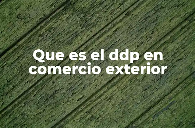Que es el Ddp en Comercio Exterior