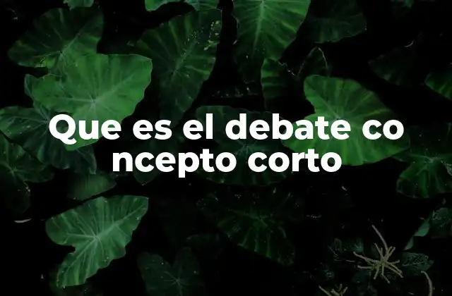 Que es el Debate Co Ncepto Corto
