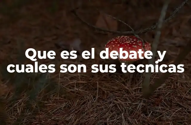 Que es el Debate y Cuales Son Sus Tecnicas