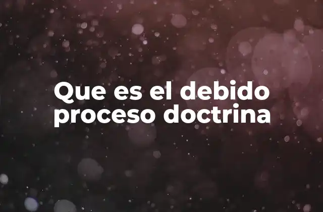 Que es el Debido Proceso Doctrina