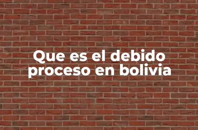 Que es el Debido Proceso en Bolivia