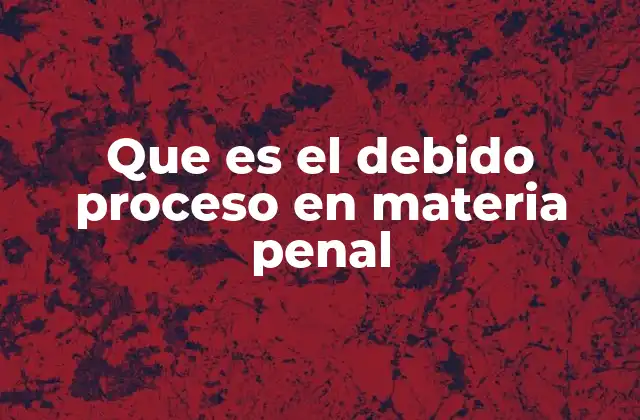 Que es el Debido Proceso en Materia Penal