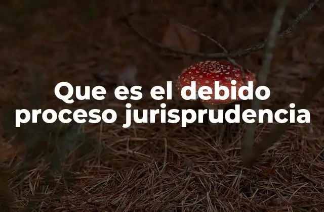 Que es el Debido Proceso Jurisprudencia