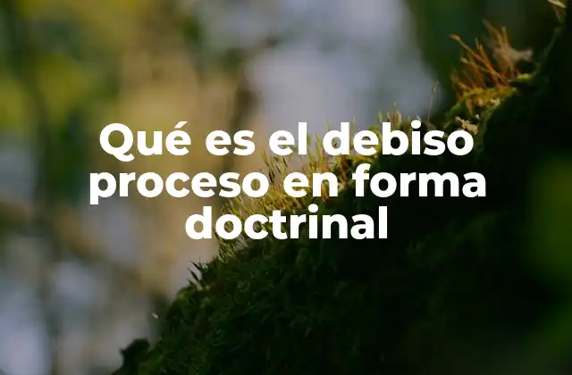 Qué es el Debiso Proceso en Forma Doctrinal