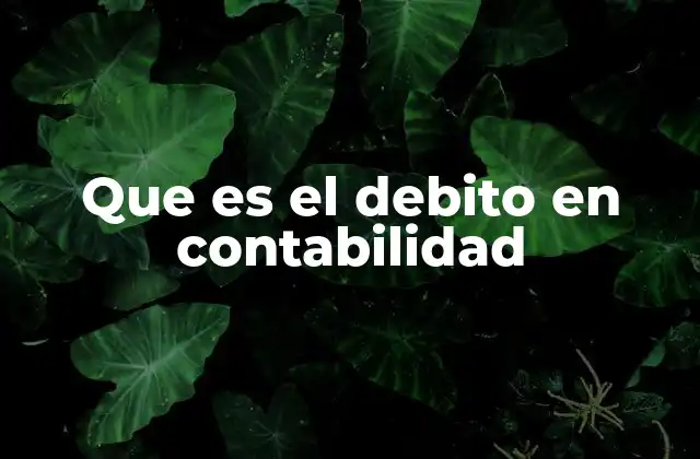 El papel del débito en el equilibrio contable