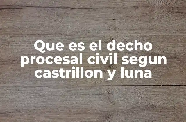 Que es el Decho Procesal Civil Segun Castrillon y Luna