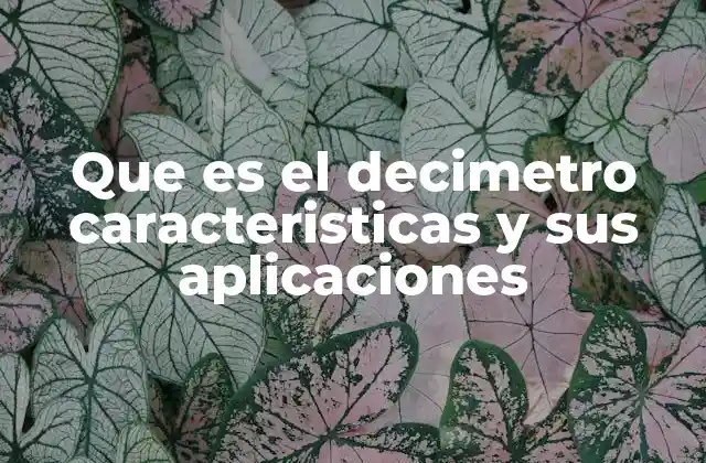 Que es el Decimetro Caracteristicas y Sus Aplicaciones