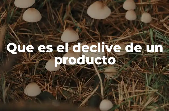 Que es el Declive de un Producto