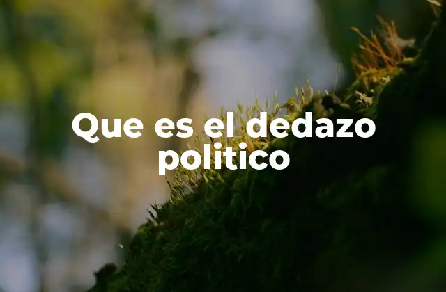 Que es el Dedazo Politico 2 Cómo el dedazo político afecta la toma de decisiones públicas