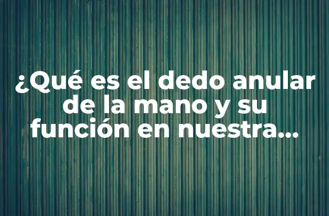 ¿qué es el Dedo Anular de la Mano y Su Función en Nuestra Vida Diaria?