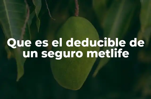 Que es el Deducible de un Seguro Metlife